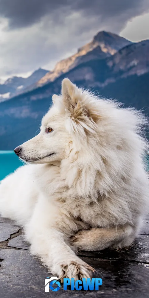 White Dog Mountains 3K Mobile Wallpaper
