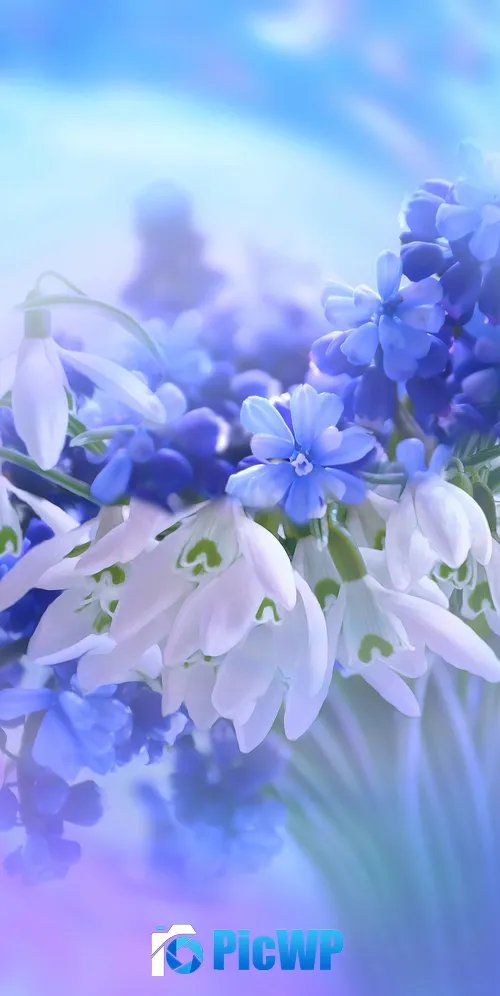 Blue flowers Hyacinth 3K Mobile Wallpaper