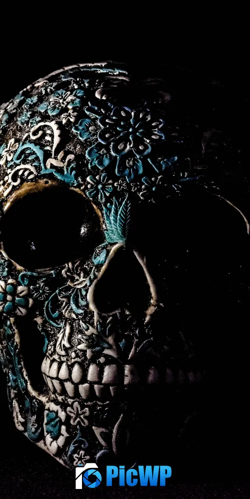 Skull Human 3K Mobile Wallpaper