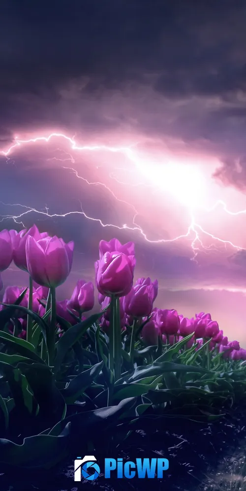 Pink flowers Path 3K Mobile Wallpaper