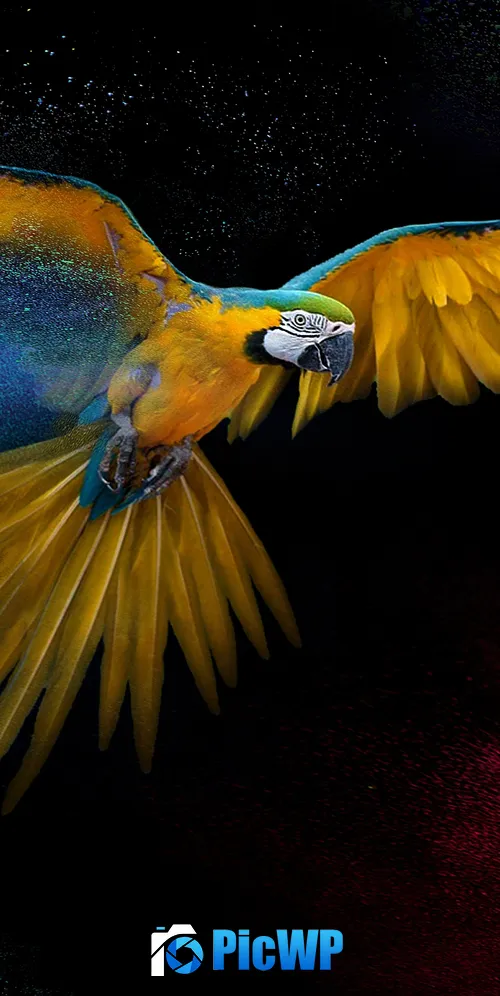 Macaw Wings 3K Mobile Wallpaper