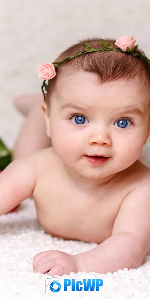 Cute Baby Rose flowers 3K Mobile Wallpaper