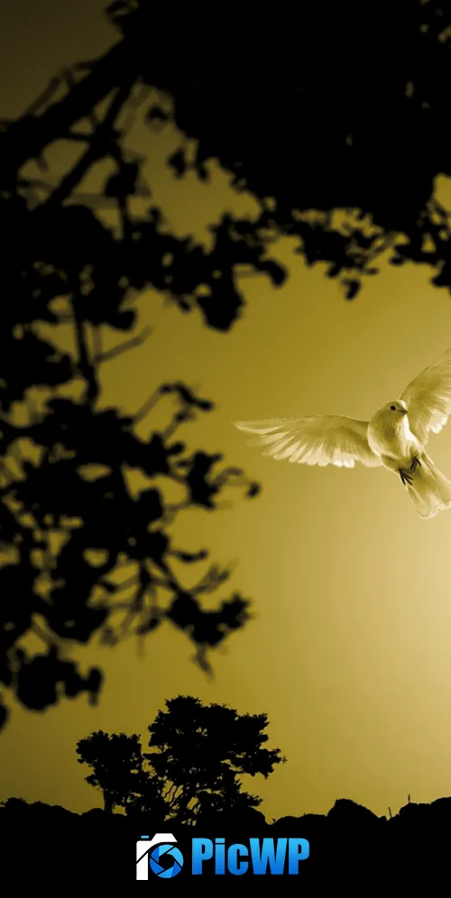 Dove Flying bird 3K Mobile Wallpaper