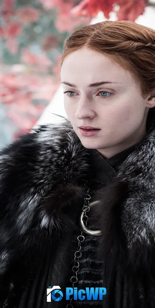 Sophie Turner Sansa Stark 3K Mobile Wallpaper