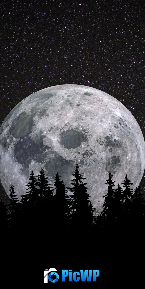 Full moon Forest 3K Mobile Wallpaper
