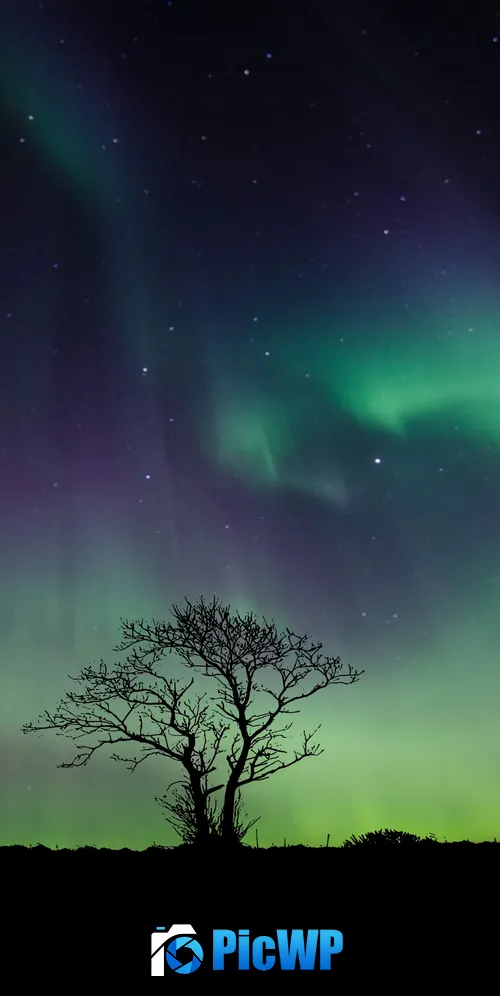 Aurora Borealis 3K Mobile Wallpaper