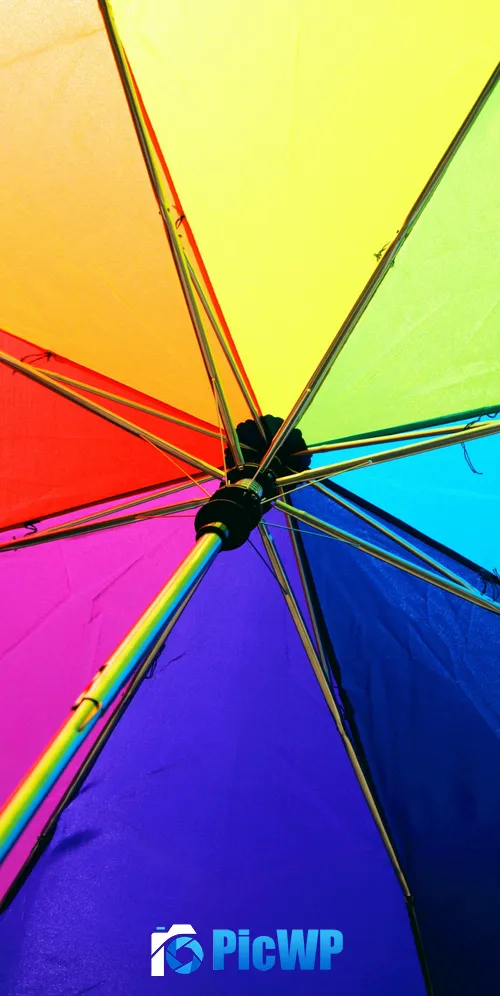 Umbrella Colorful 3K Mobile Wallpaper