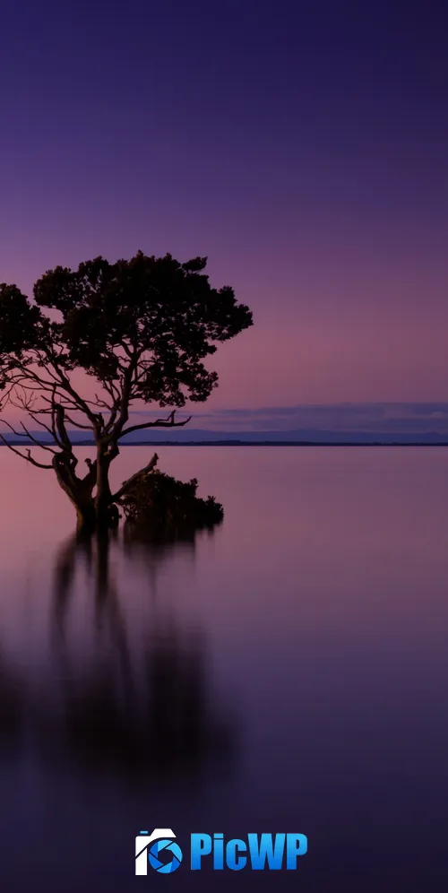 Lone tree Sunset 3K Mobile Wallpaper