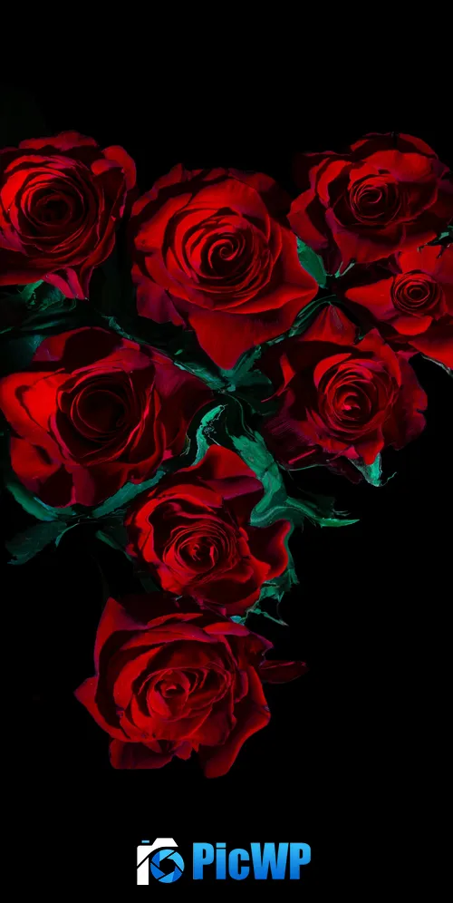 Red Roses Flower bouquet 3K Mobile Wallpaper