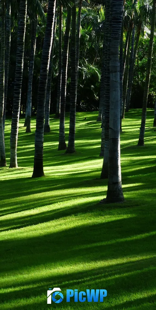 Green Grass Trees 3K Mobile Wallpaper