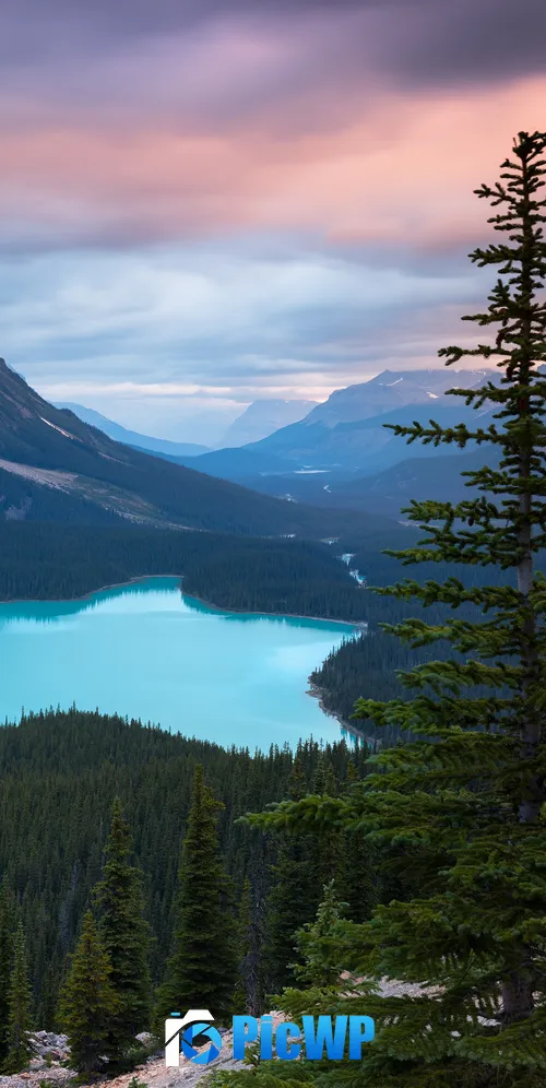 Peyto Lake Mountains 3K Mobile Wallpaper