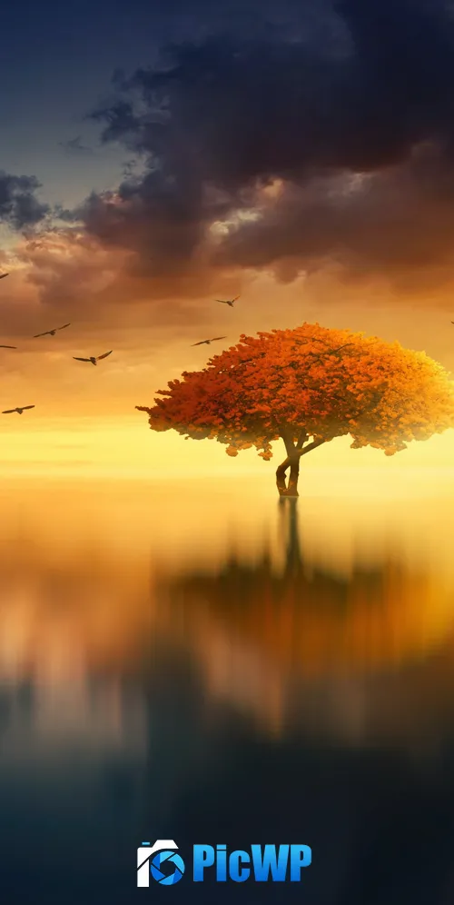 Tree Sunrise 3K Mobile Wallpaper