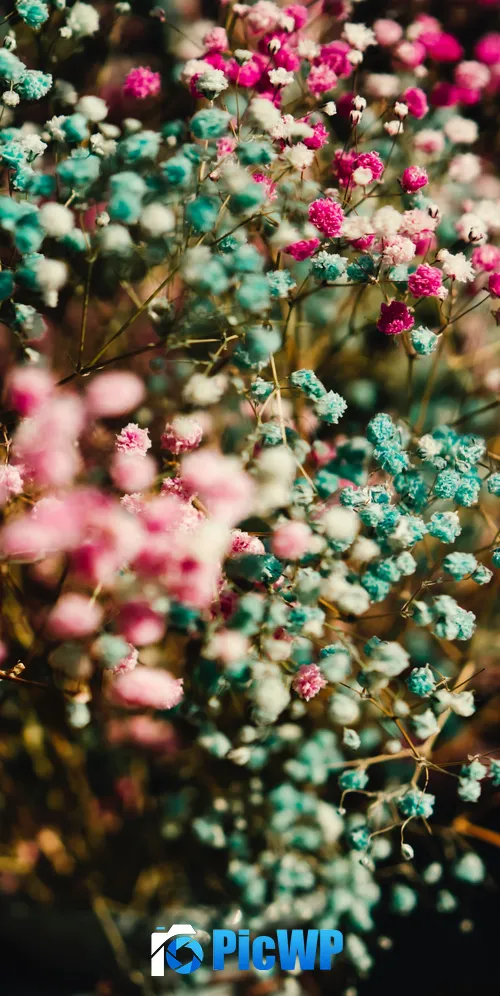 Colorful flowers Flower bouquet 3K Mobile Wallpaper
