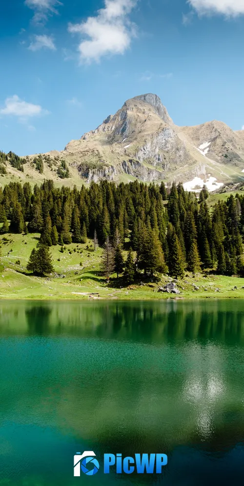 Gantrischseeli lake Pine trees 3K Mobile Wallpaper