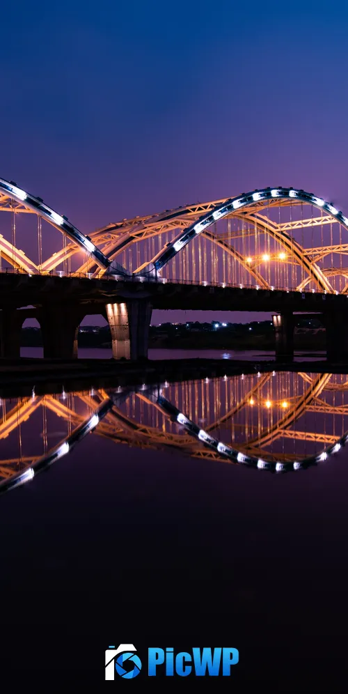 Dragon Bridge City lights 3K Mobile Wallpaper