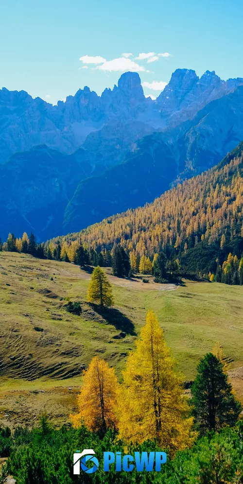 Sunny day Landscape 3K Mobile Wallpaper