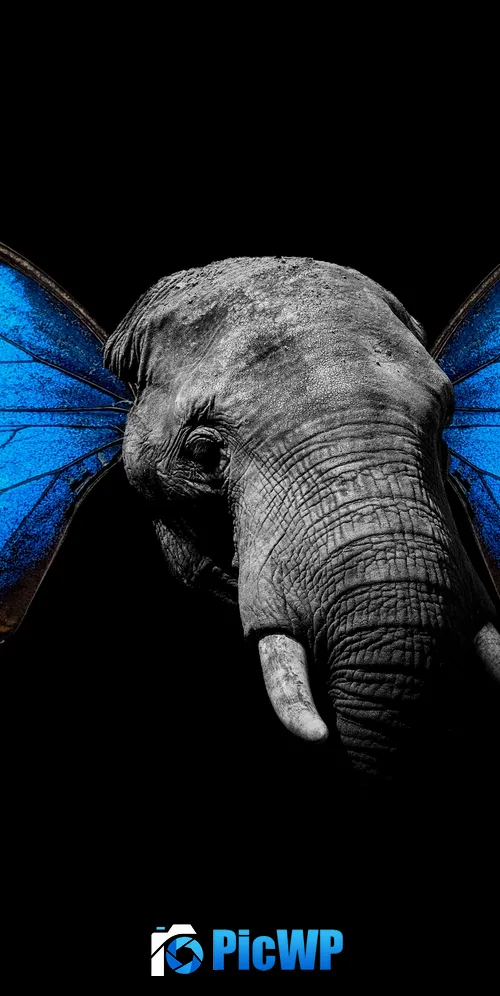 Elephant Butterfly 3K Mobile Wallpaper