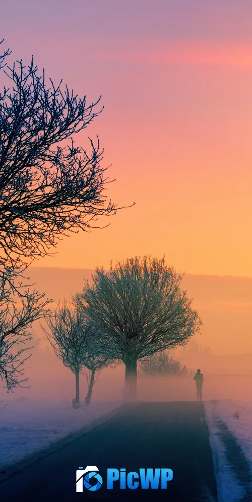Golden hour Foggy 3K Mobile Wallpaper