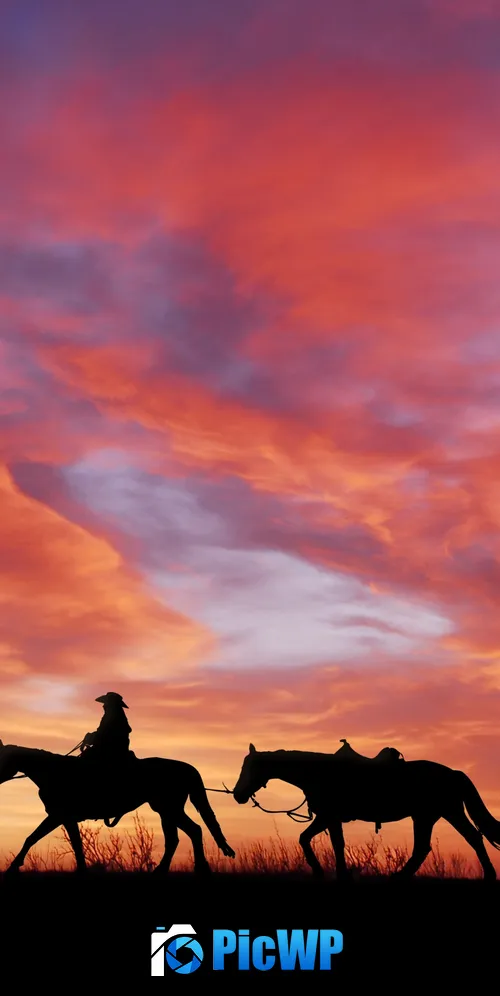 Cowboy Horses 3K Mobile Wallpaper