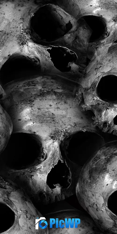 Skulls Scary 3K Mobile Wallpaper