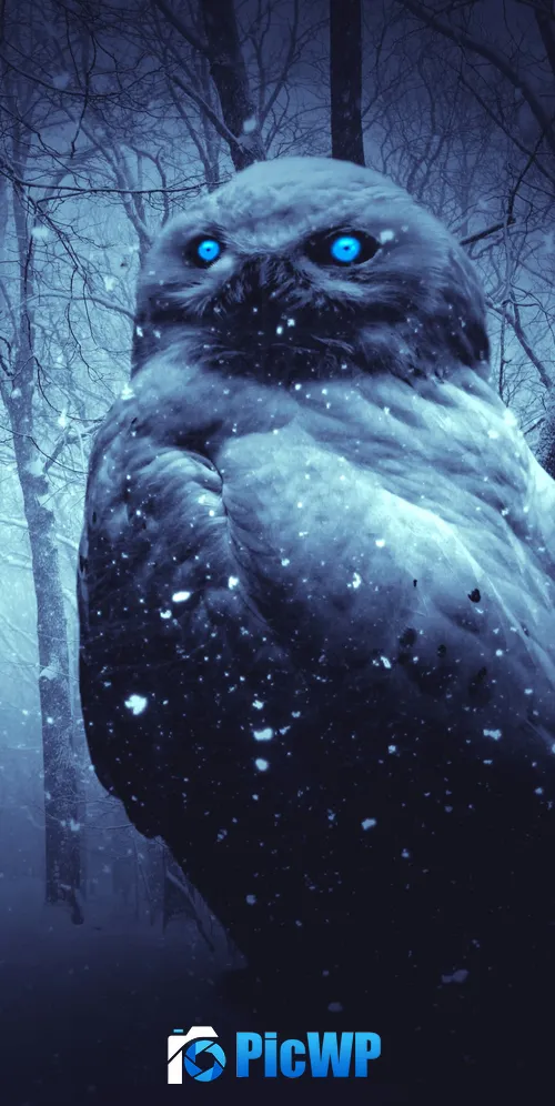 Owl Forest 3K Mobile Wallpaper