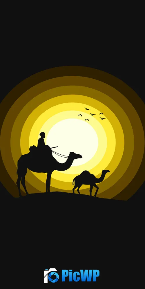 Camels Sun 3K Mobile Wallpaper