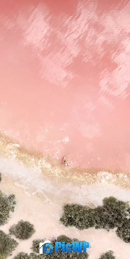 Beach Baby pink 3K Mobile Wallpaper