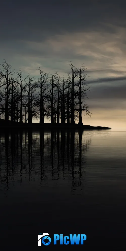 Sunset Dry trees 3K Mobile Wallpaper