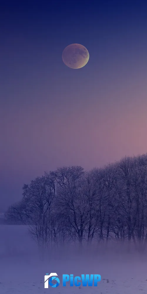 Winter Aesthetic 3K Mobile Wallpaper
