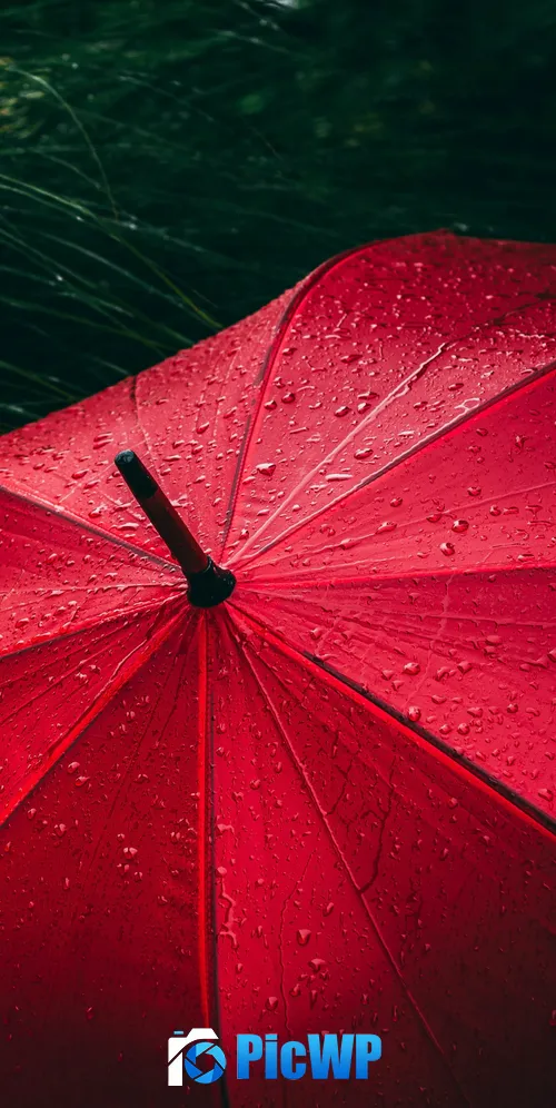 Umbrella Red 3K Mobile Wallpaper