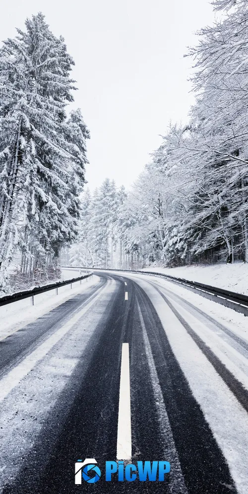 Winter Road 3K Mobile Wallpaper