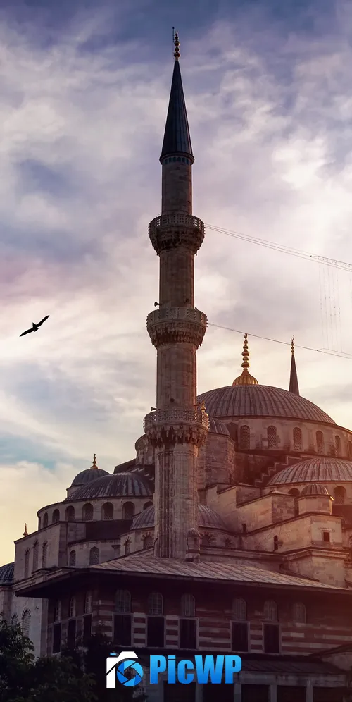Blue Mosque Ancient architecture 3K Mobile Wallpaper