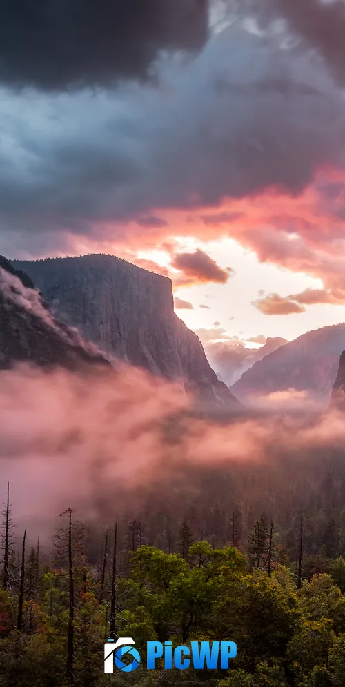 Yosemite National Park Yosemite Valley 3K Mobile Wallpaper