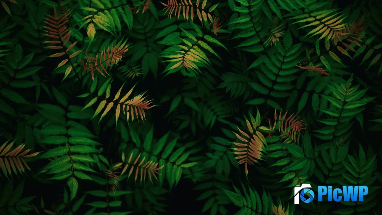 Green leaves Foliage 4K PC Wallpaper