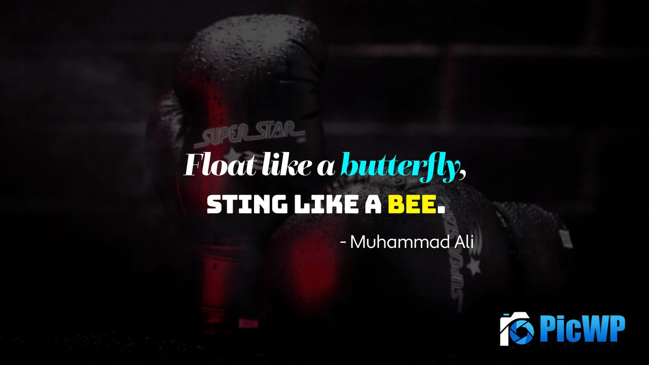 Boxing Popular quotes 4K PC Wallpaper
