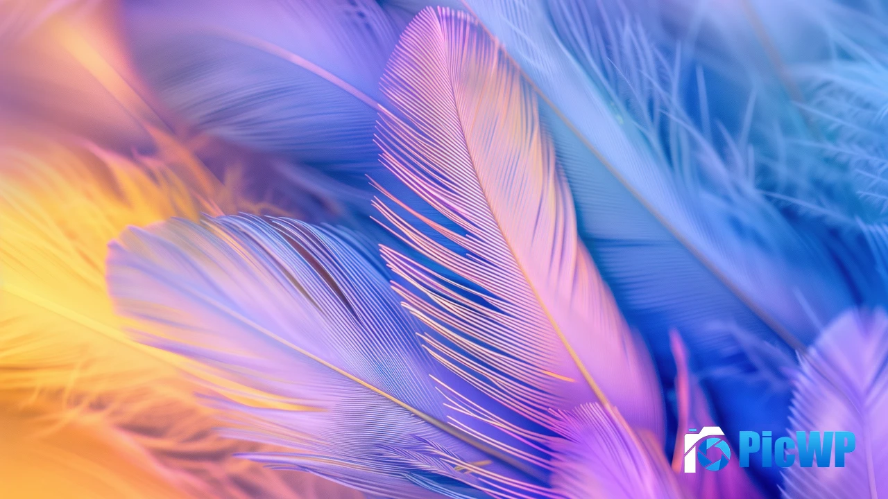 Feathers Aesthetic 4K PC Wallpaper
