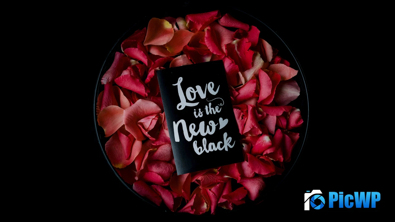 Love is the new Black 4K PC Wallpaper