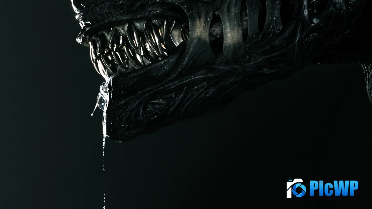 Alien: Romulus 2024 Movies 4K PC Wallpaper
