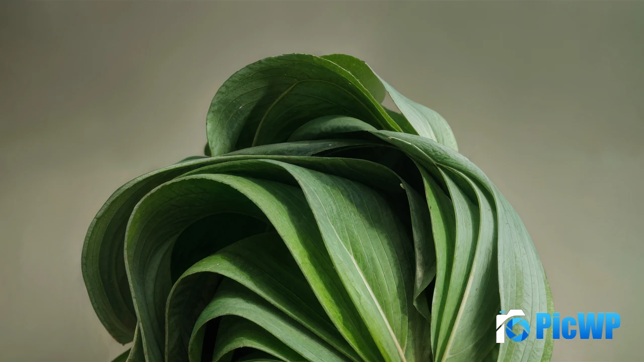 Windows 11 Green aesthetic 4K PC Wallpaper