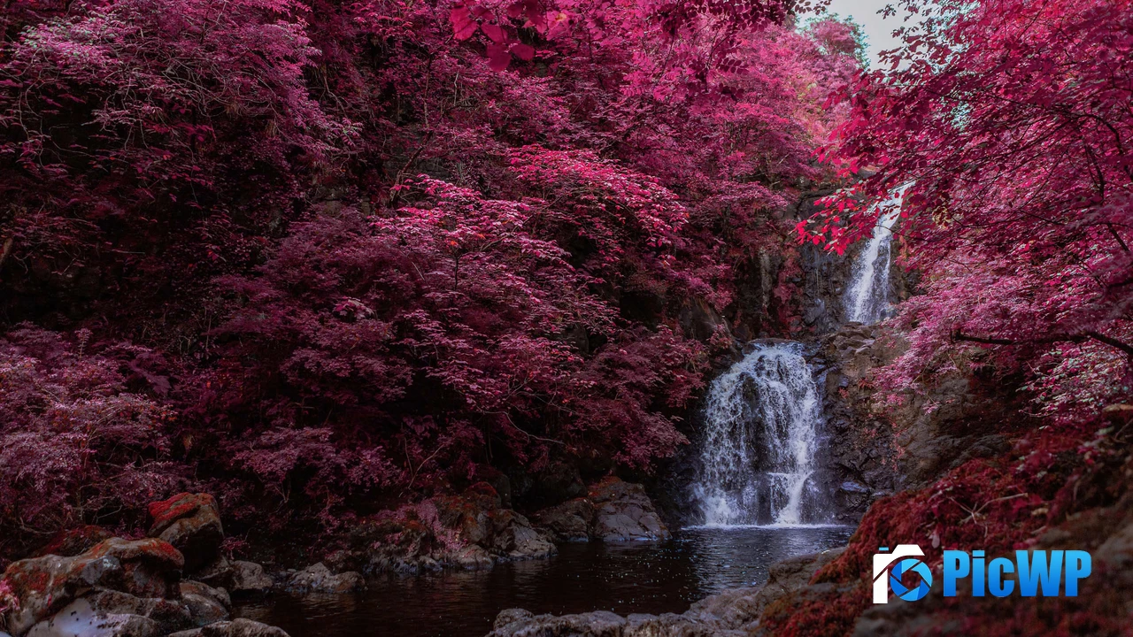Waterfall Pink aesthetic 4K PC Wallpaper