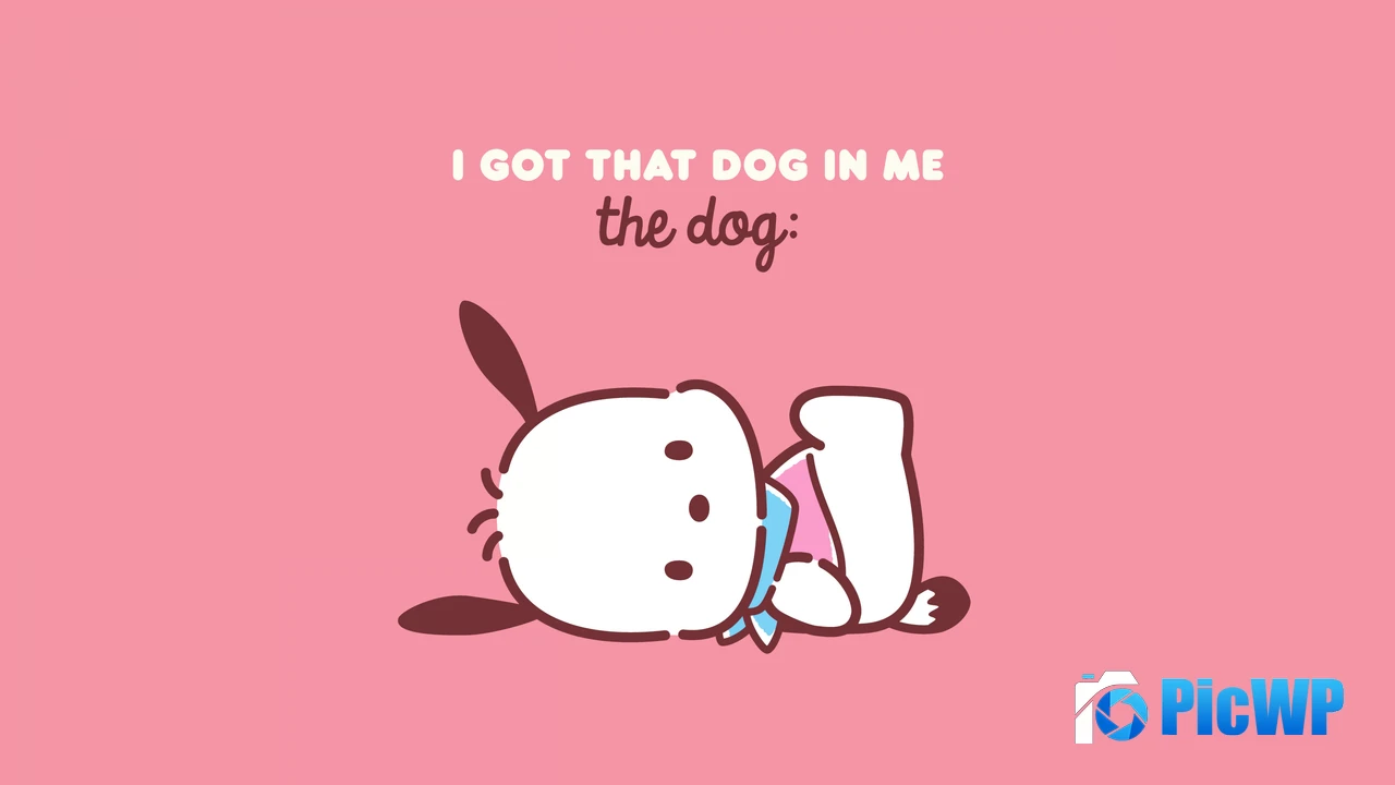 Sanrio Pochacco 4K PC Wallpaper