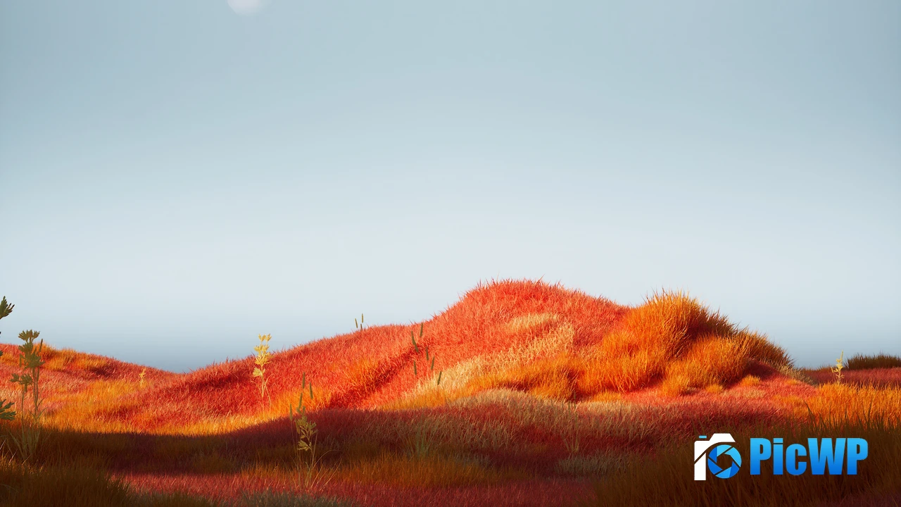 Grass Landscape Moonlight 4K PC Wallpaper