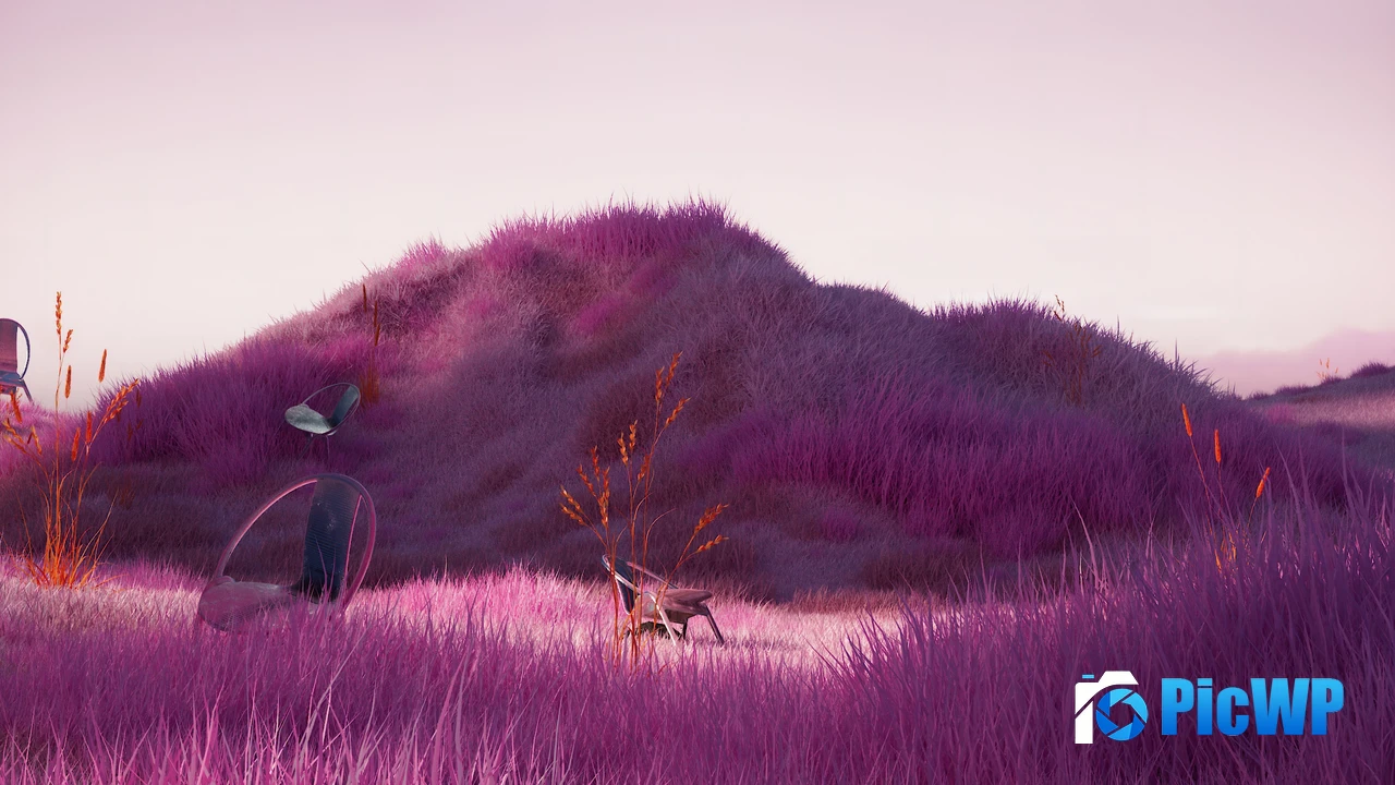Lavender fields Purple aesthetic 4K PC Wallpaper