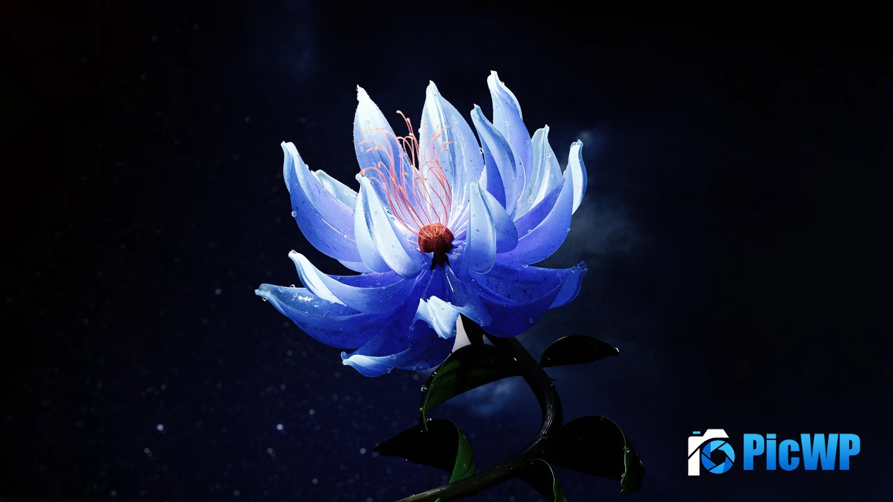 Lotus flower Blue aesthetic 4K PC Wallpaper