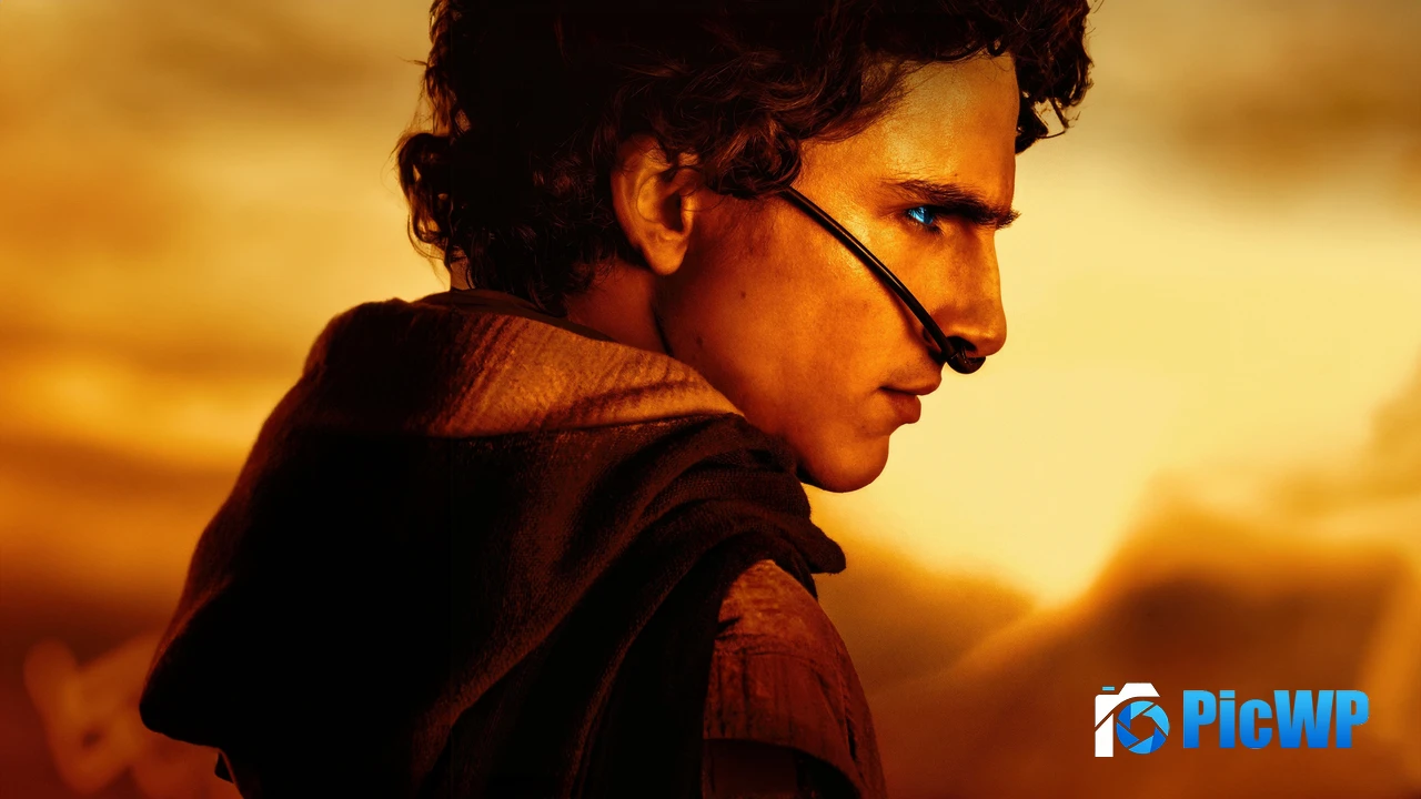 Timothée Chalamet as Paul Atreides Dune 2 4K PC Wallpaper