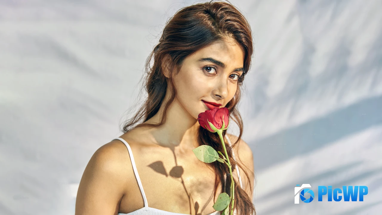 Pooja Hegde Rose flower 4K PC Wallpaper