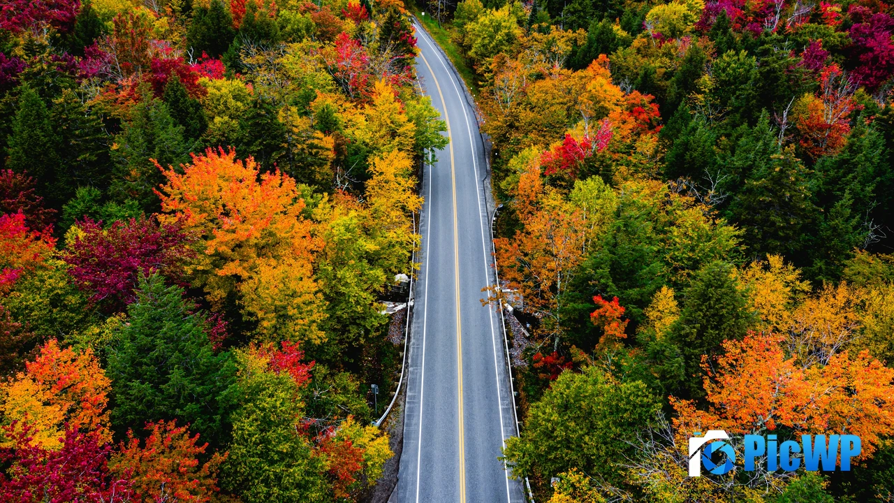 Autumn Landscape 4K PC Wallpaper