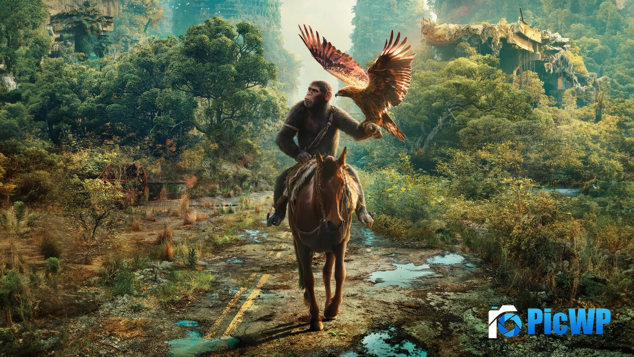 Kingdom of the Planet of the Apes 2024 Movies 4K PC Wallpaper