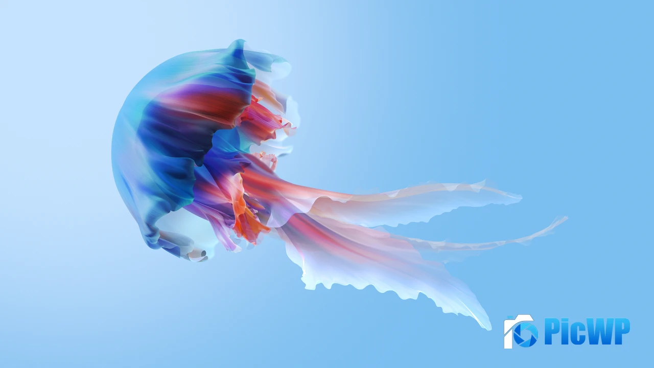Jellyfish Xiaomi TV 4K PC Wallpaper