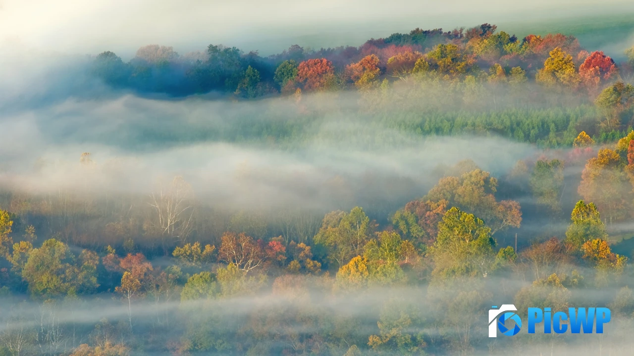 OS X Lion Autumn 4K PC Wallpaper